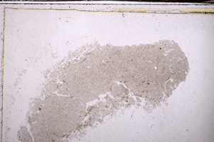 Plane Polarized, E35111