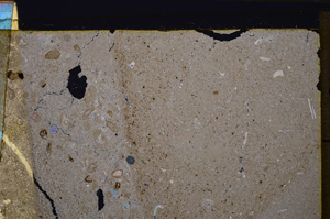 Cross Polarized, E35116