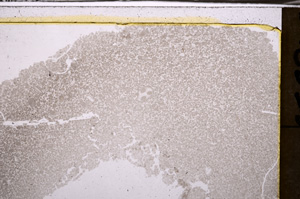 Plane Polarized, E35122