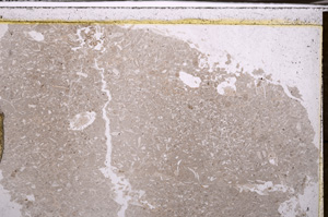 Plane Polarized, E35138