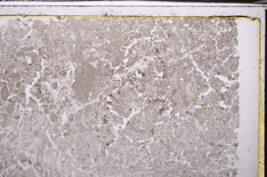 Plane Polarized, E35143