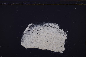 Cross Polarized, E35145