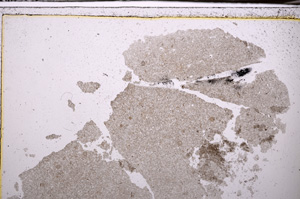 Plane Polarized, E35146