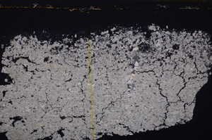 Cross Polarized, E35149