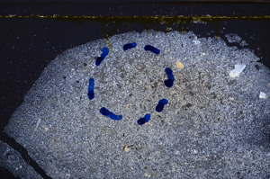 Cross Polarized, E35162