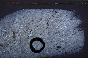 Cross Polarized, E35200