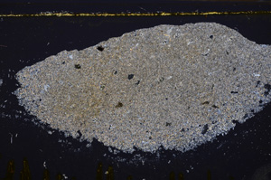 Cross Polarized, E35255