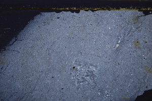 Cross Polarized, E35265