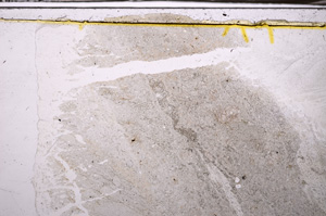 Plane Polarized, E35305