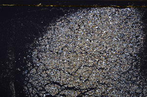 Cross Polarized, E35307