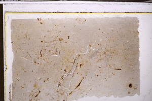 Plane Polarized, E35326