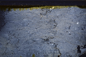 Cross Polarized, E35403