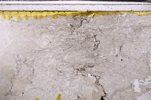 Plane Polarized, E35403