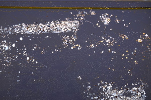 Cross Polarized, E35407