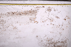 Plane Polarized, E35407