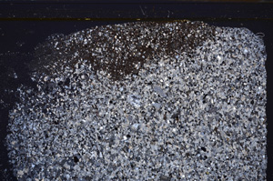 Cross Polarized, E35428