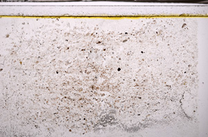 Plane Polarized, E35485