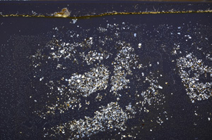 Cross Polarized, E35498