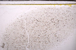 Plane Polarized, E35508