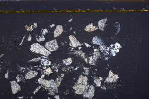 Cross Polarized, E35593