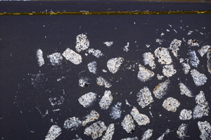 Cross Polarized, E35594