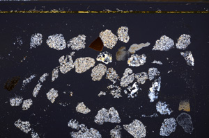 Cross Polarized, E35595