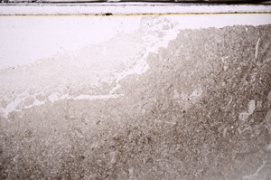 Plane Polarized, E35663