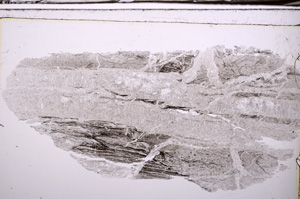 Plane Polarized, E35677