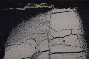 Cross Polarized, E35772