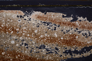 Cross Polarized, E35773