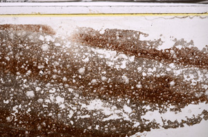 Plane Polarized, E35773