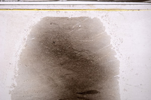 Plane Polarized, E35796