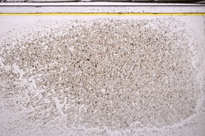 Plane Polarized, E35802