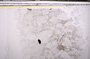 Plane Polarized, E35809