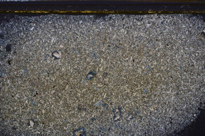 Cross Polarized, E35830