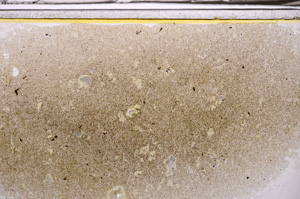 Plane Polarized, E35830