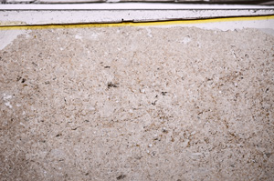 Plane Polarized, E35831