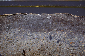 Cross Polarized, E35832