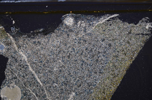 Cross Polarized, E35896