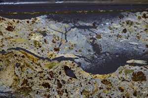 Cross Polarized, E35910