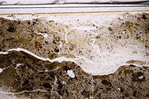 Plane Polarized, E35910