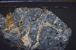 Cross Polarized, E35914