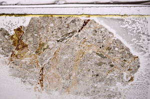 Plane Polarized, E35914