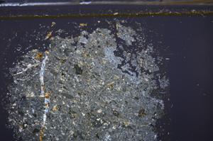 Cross Polarized, E35915