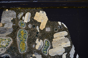 Cross Polarized, E35925