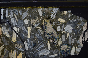 Cross Polarized, E35932