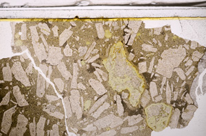 Plane Polarized, E35932