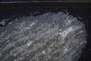 Cross Polarized, E35933