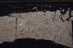 Cross Polarized, E35935