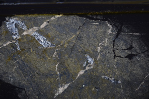 Cross Polarized, E35938